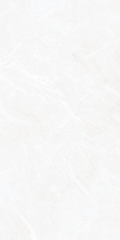 takenos bianco porcelian tile